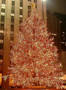 Christmas tree at Rockefeller Center in New York City