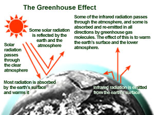 Graphic on "The Greenhouse Effect" at the Environmental Protection Agency's Web site