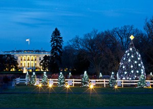 The 2012 National Christmas Tree with the White House in the background. (U.S. Government photo)
