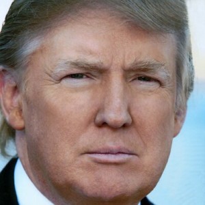 President-elect Donald Trump