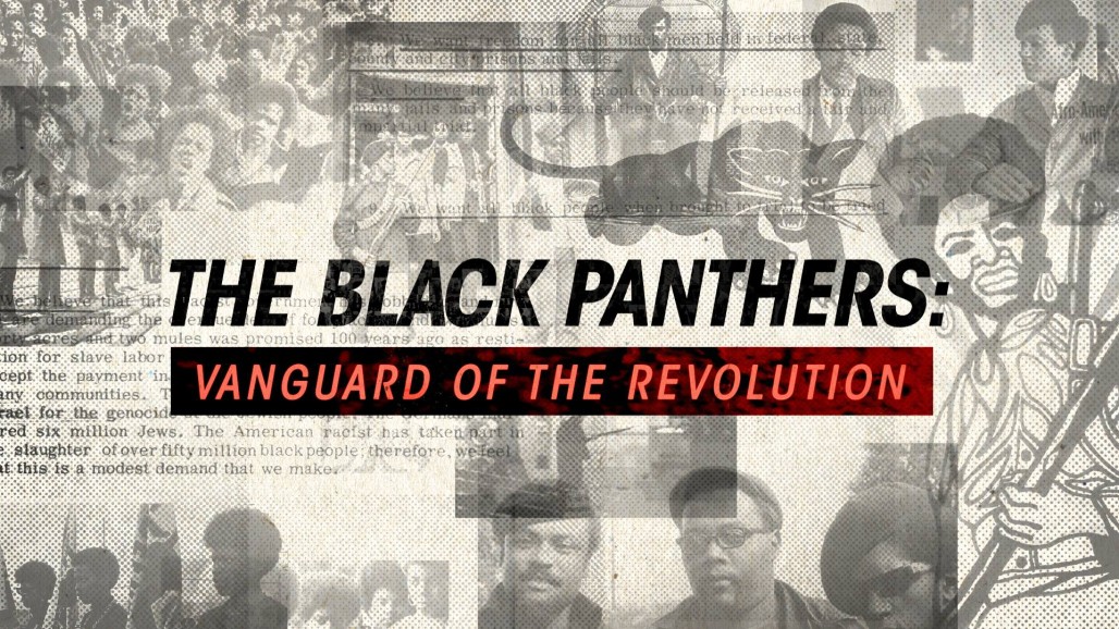 Killing The Black Panthers