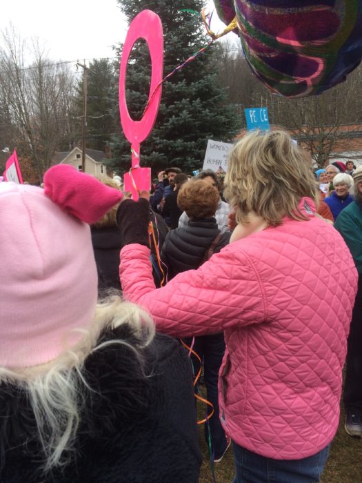 Anti-Trump rally, Salisbury, Connecticut, January 2017. (Corinna Barnard)