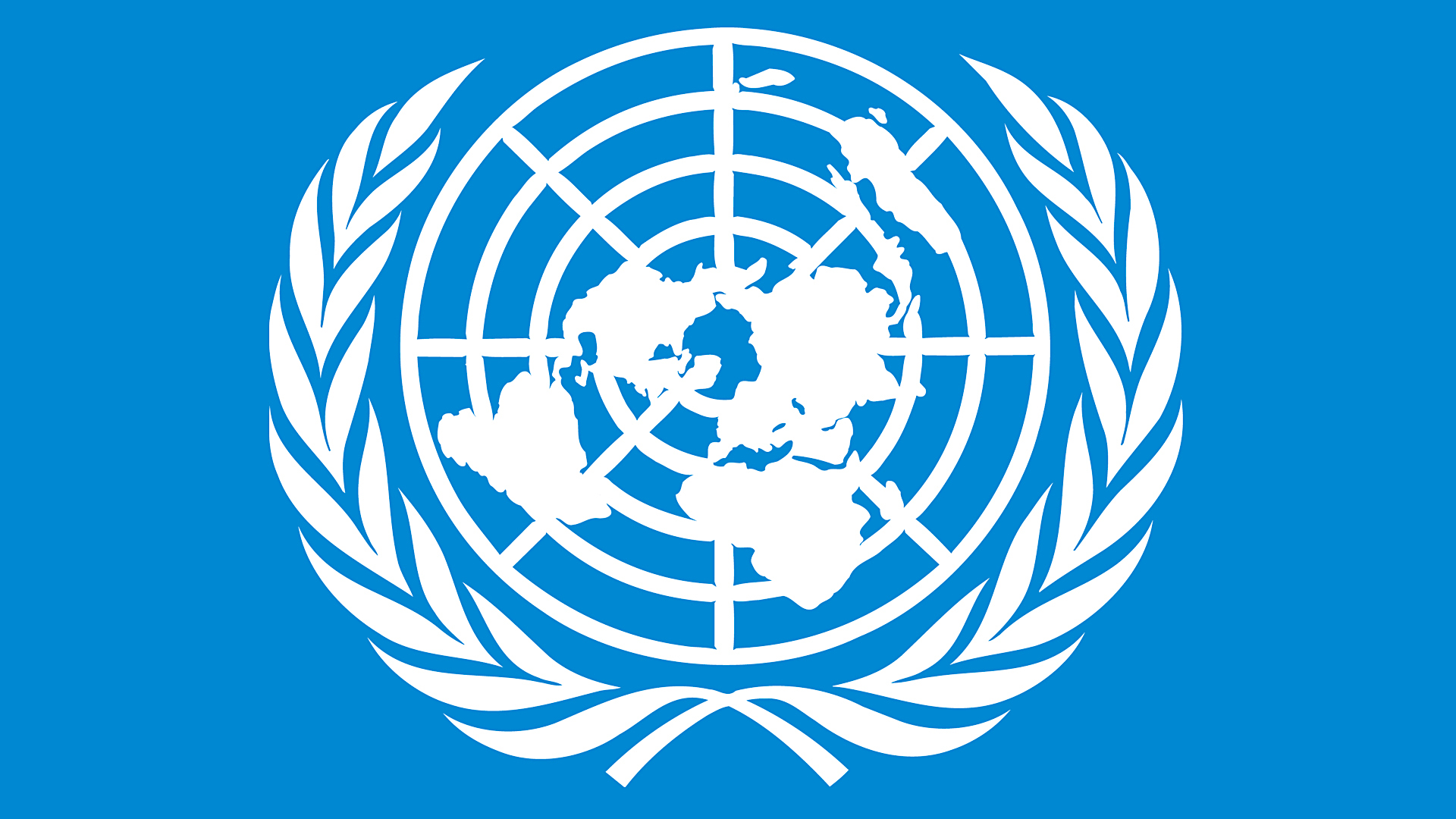 The united nations organization презентация