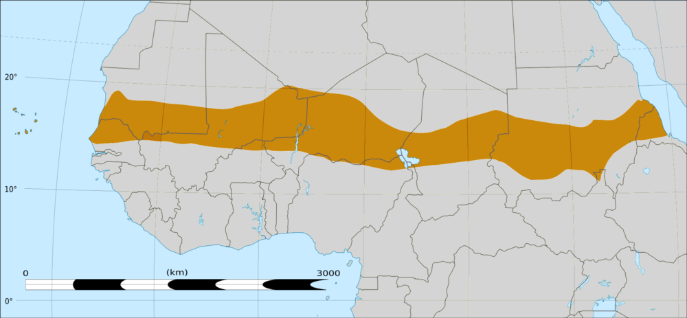 Mali & the French Project in Africa’s Sahel