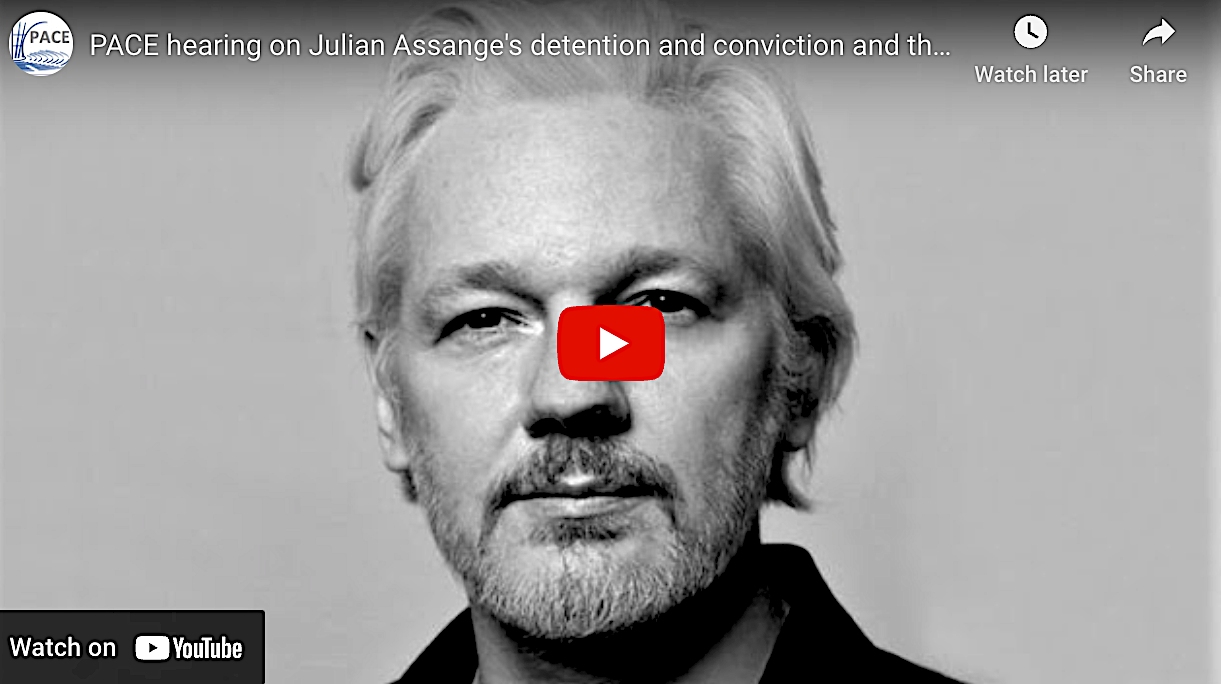 WATCH: Assange’s Testimony in Strasbourg — LIVE!