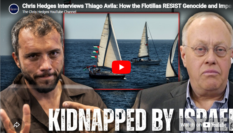 Chris Hedges: Israel Seizes Pro-Palestine Activists