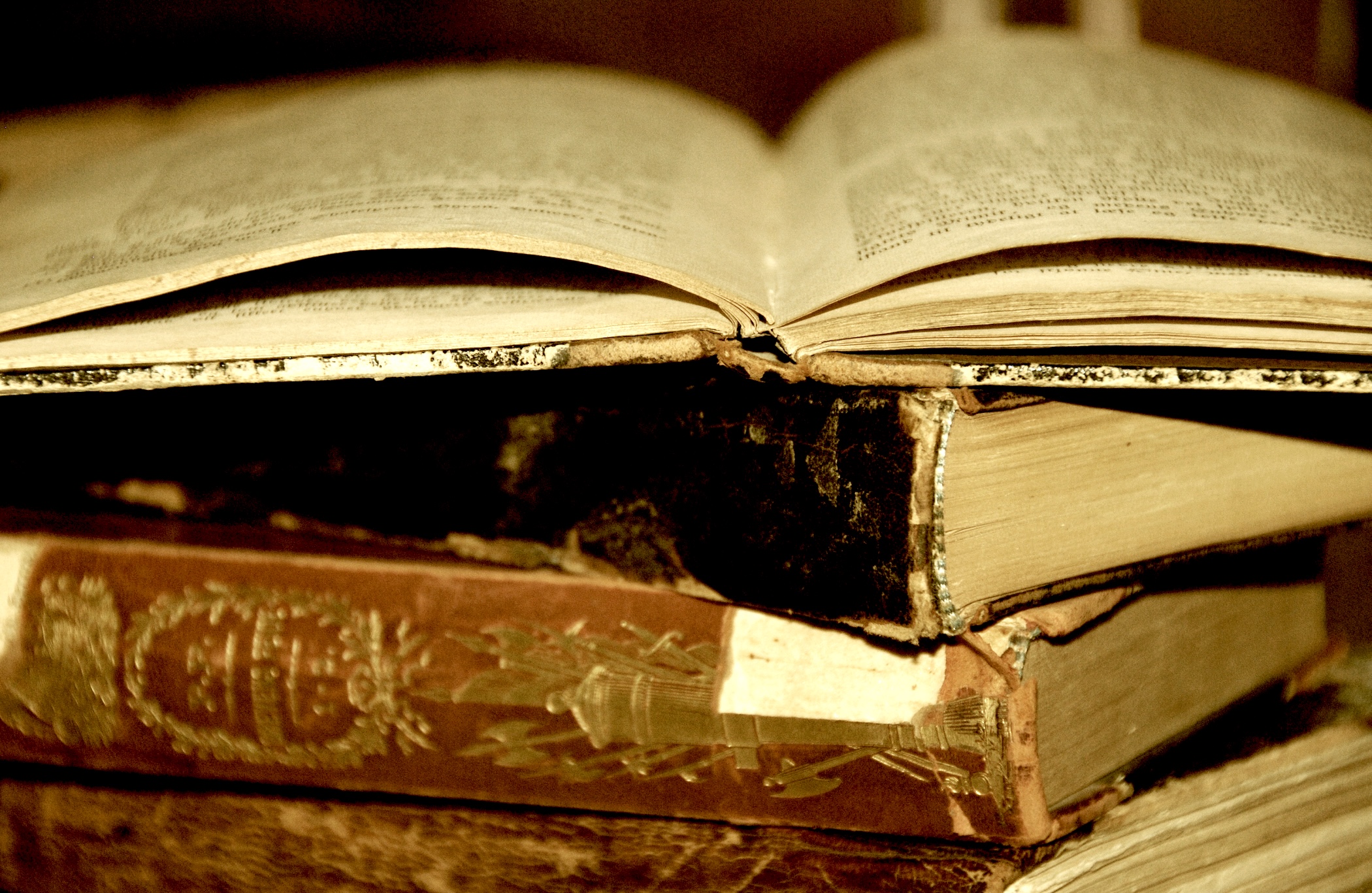 Critics Call for Probe of Book-Burning by AI Giants